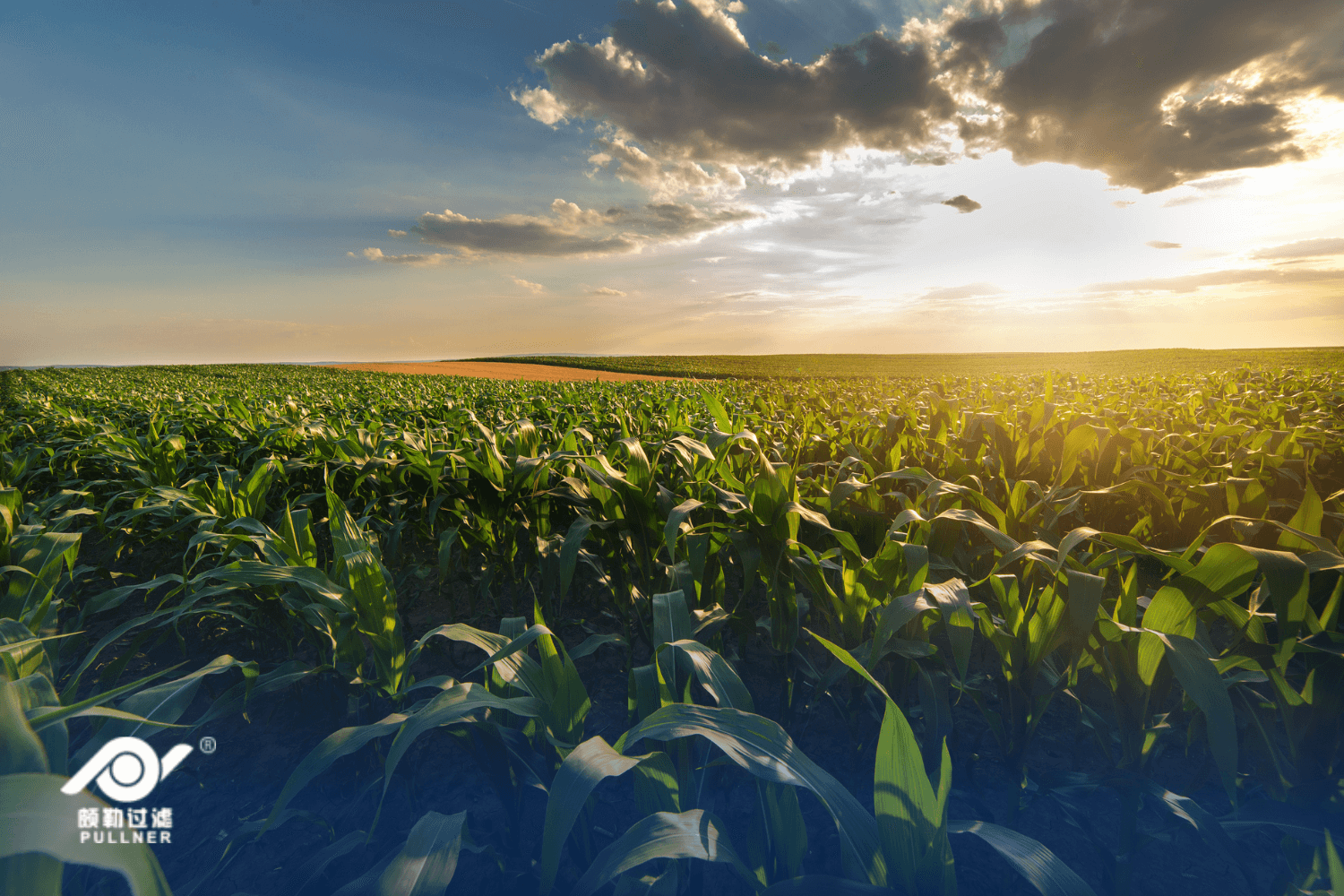 agriculture and irrigation operations